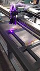 Automatische Flatbed UVlaser Engarver voor het Textielscherm Bedsheet, Gordijn, Kledingstuk